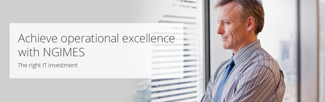 Making self-driving cars safer with the help of NGIMES